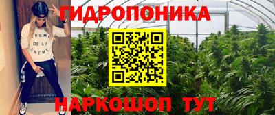 индика Конаково