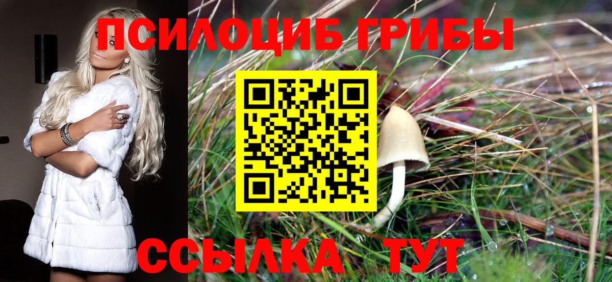 Галлюциногенные грибы прущие грибы  Вход с VPN  Кисловодск  Псилоцибиновые грибы Magic Shrooms 